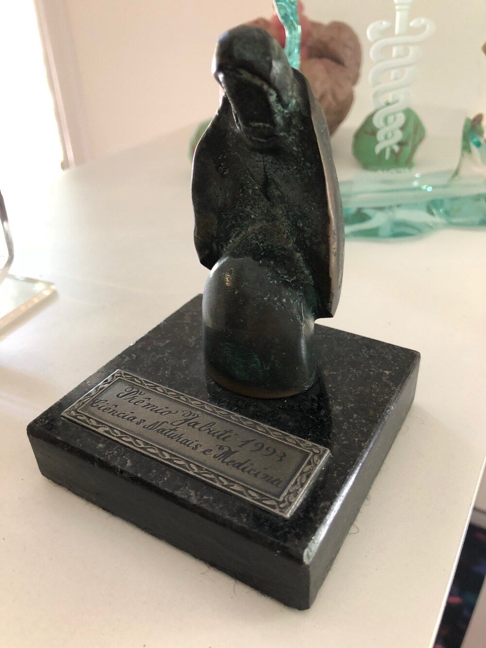 Troféu do Prêmio Jabuti em bronze sobre base de granito, com a placa “Prêmio Jabuti 1993 – Ciências Naturais e Medicina”